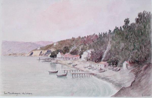 La Madrague des Lecques (akvarel na papíře) od French School