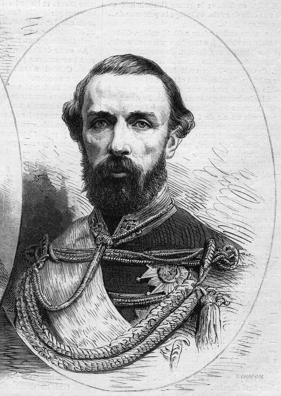 Portrét Karla XV. (Karl XV od French School