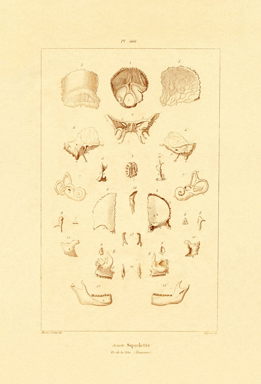Kostra, 1833-39 od French School