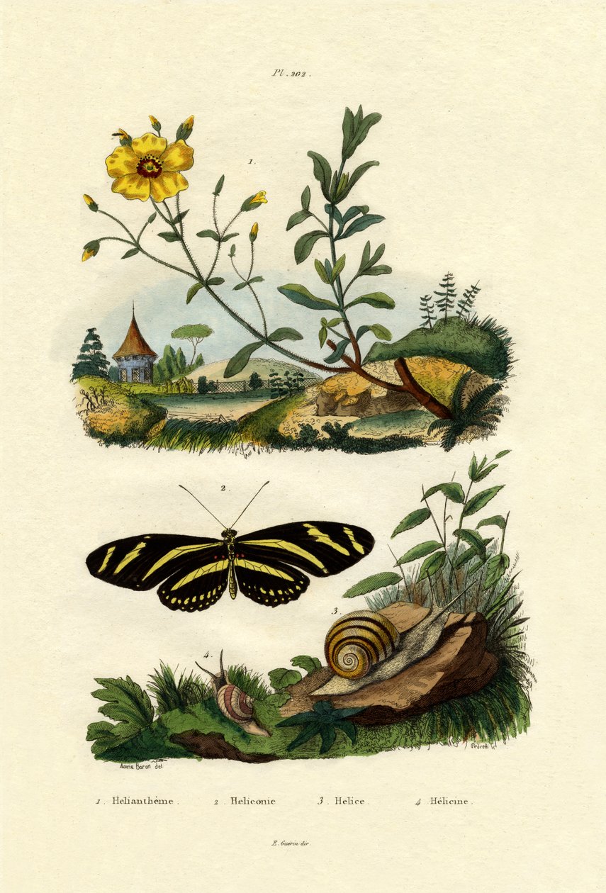 Východ slunce, 1833-39 od French School