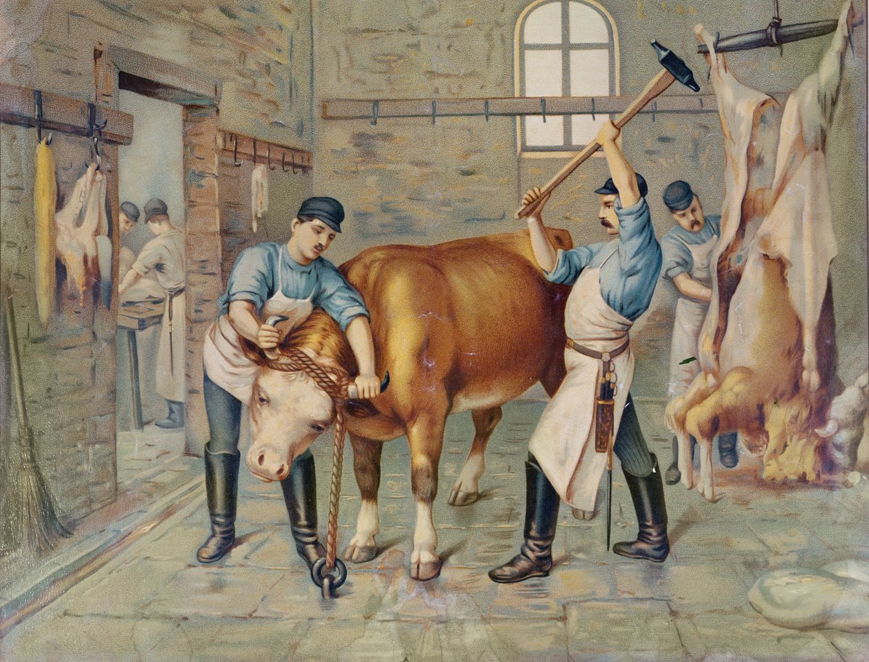 Řezník, 19. století od French School