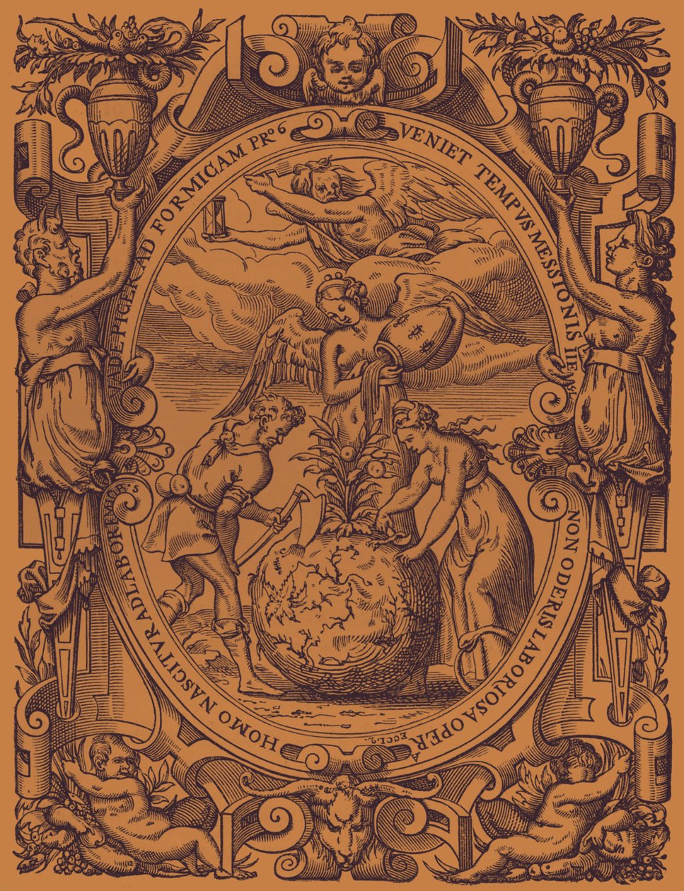 "Zelinné království" od French School