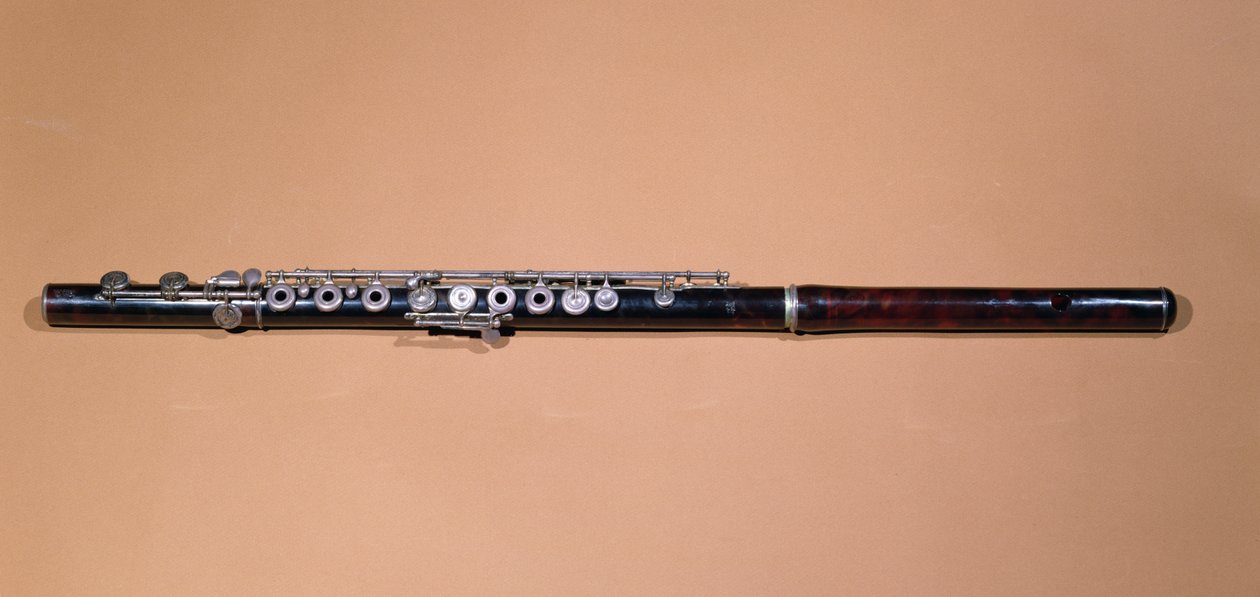 Příčná flétna (dřevo a kov) od French School