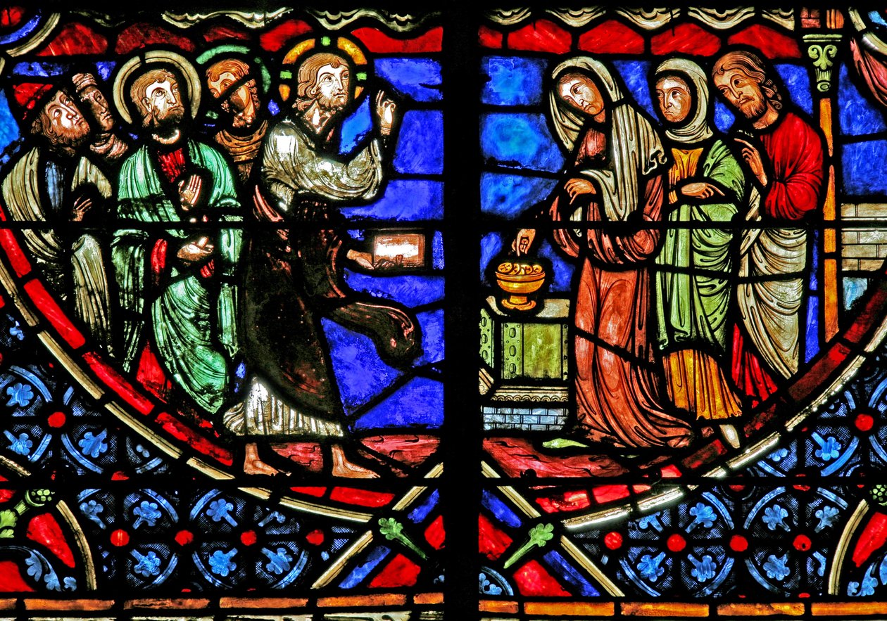Okno w4 zobrazující roztoče Windows od French School