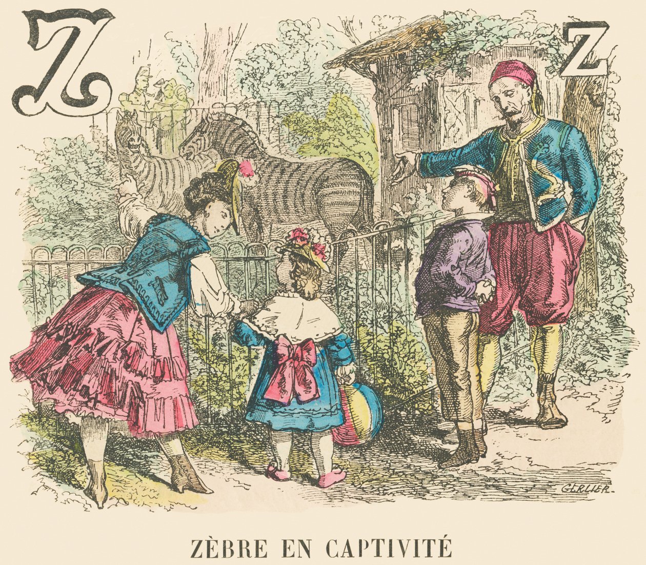 Z: Zebra v zajetí od French School