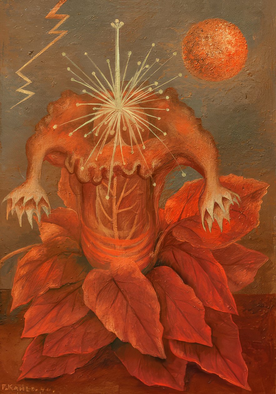Květ života od Frida Kahlo