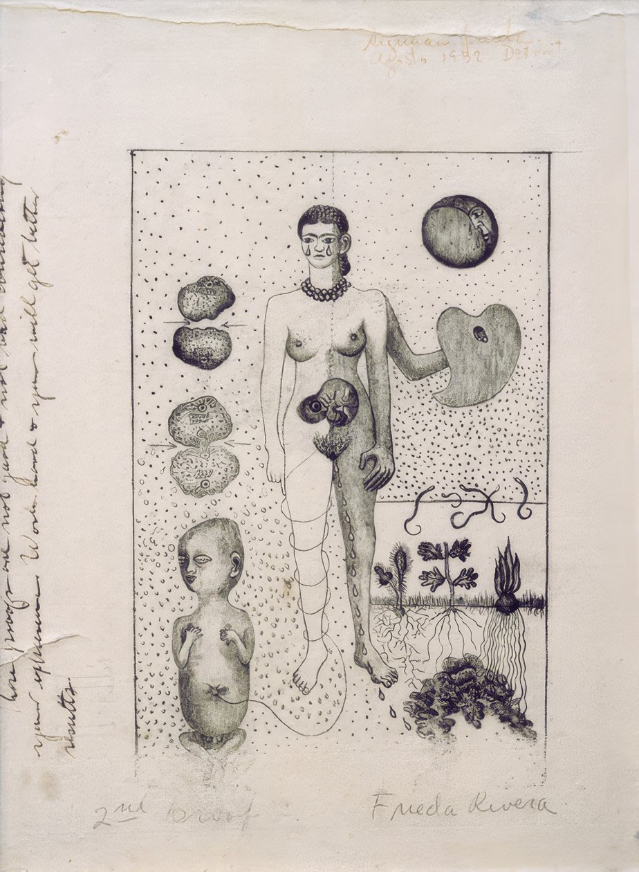 Frida a potrat od Frida Kahlo