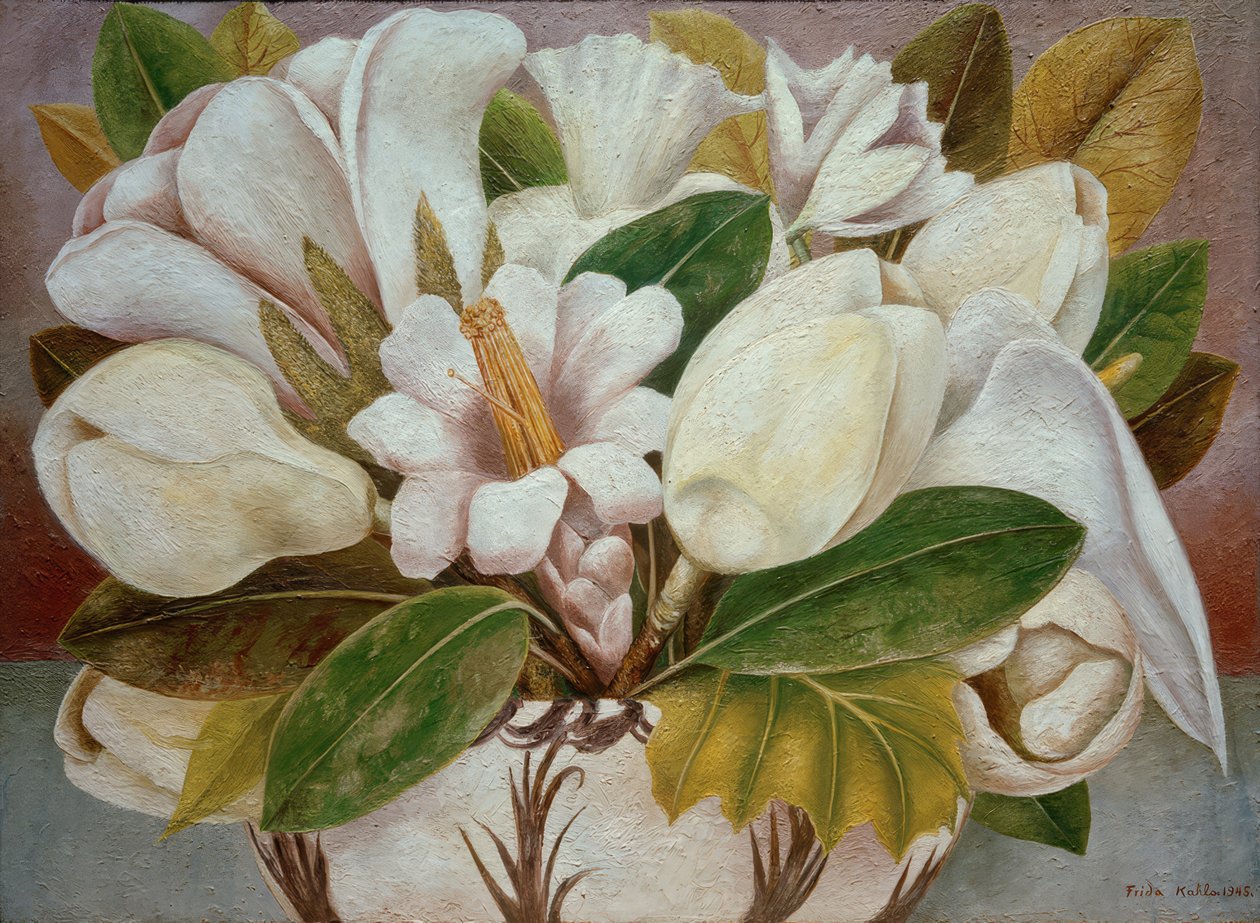 Magnolia od Frida Kahlo