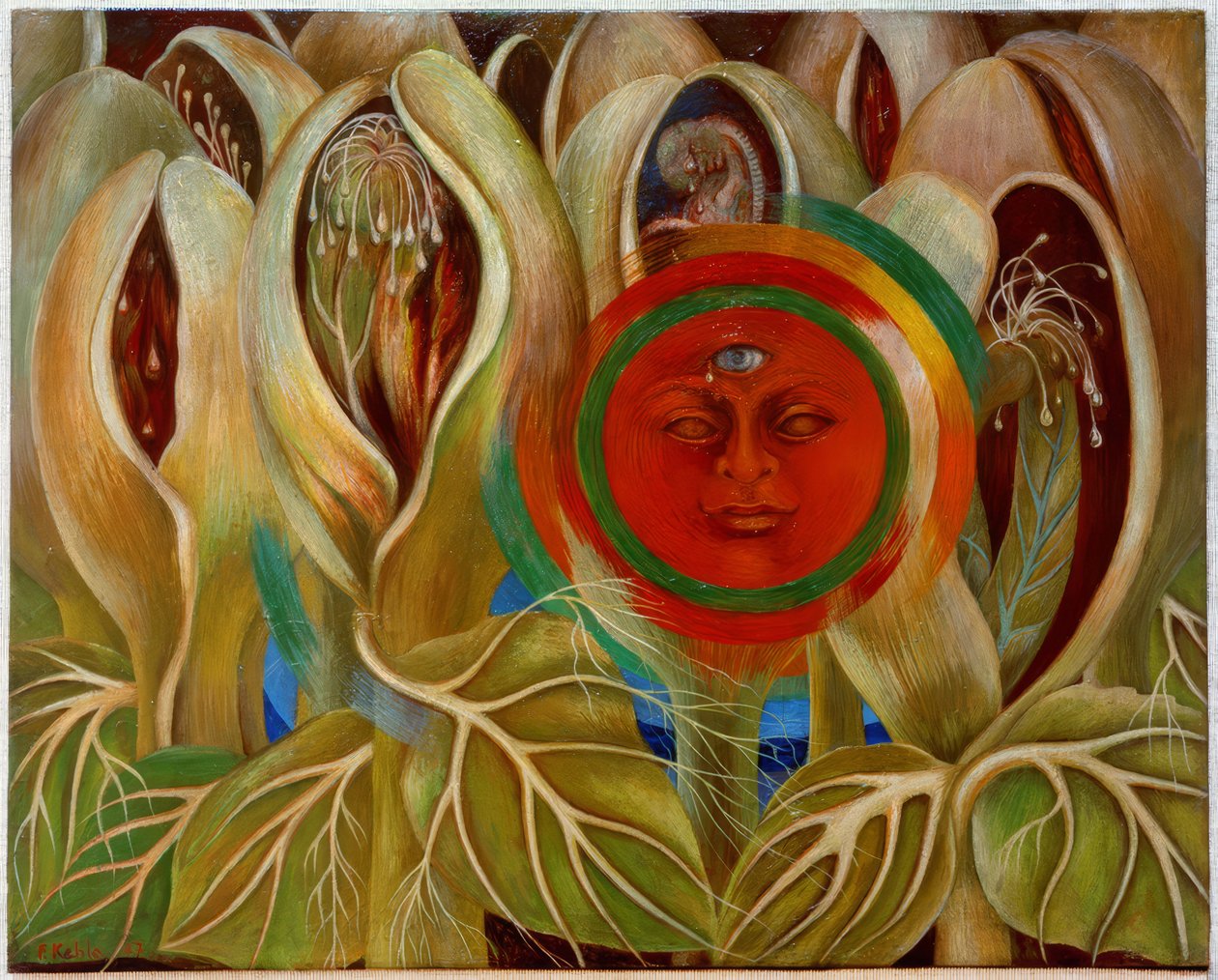 Slunce a život od Frida Kahlo