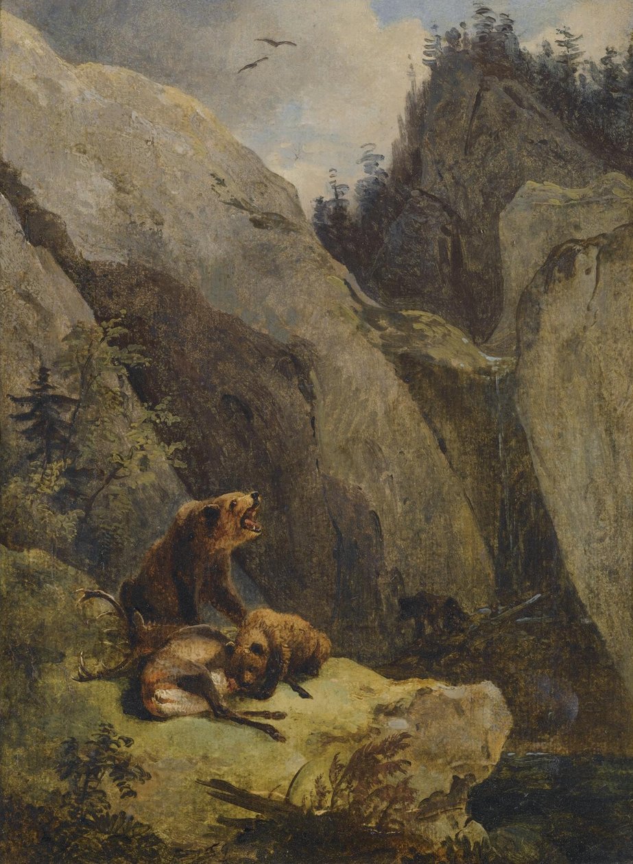 Medvědi rozřezali jelena od Friedrich Gauermann