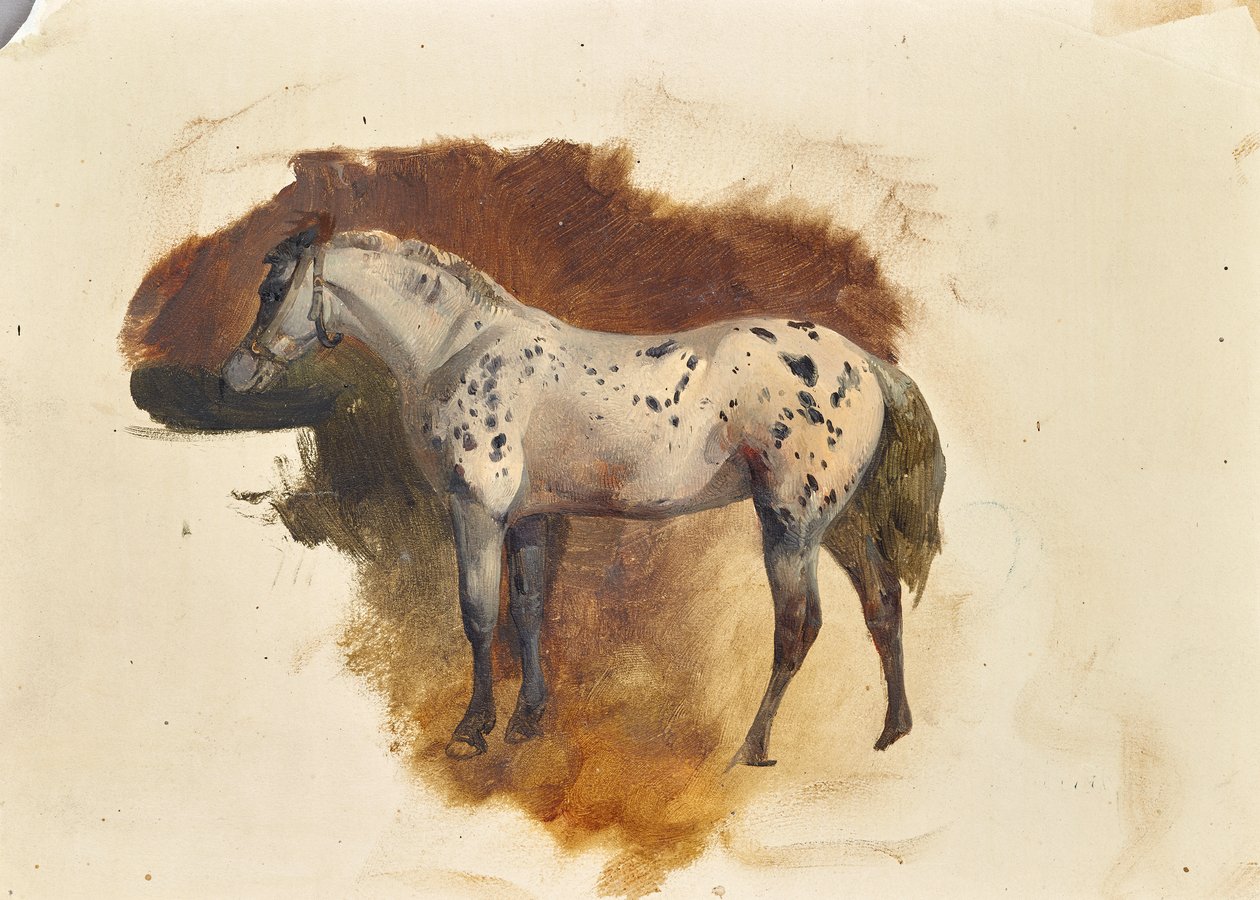 Skvrnitá plíseň od Friedrich August Mathias Gauermann