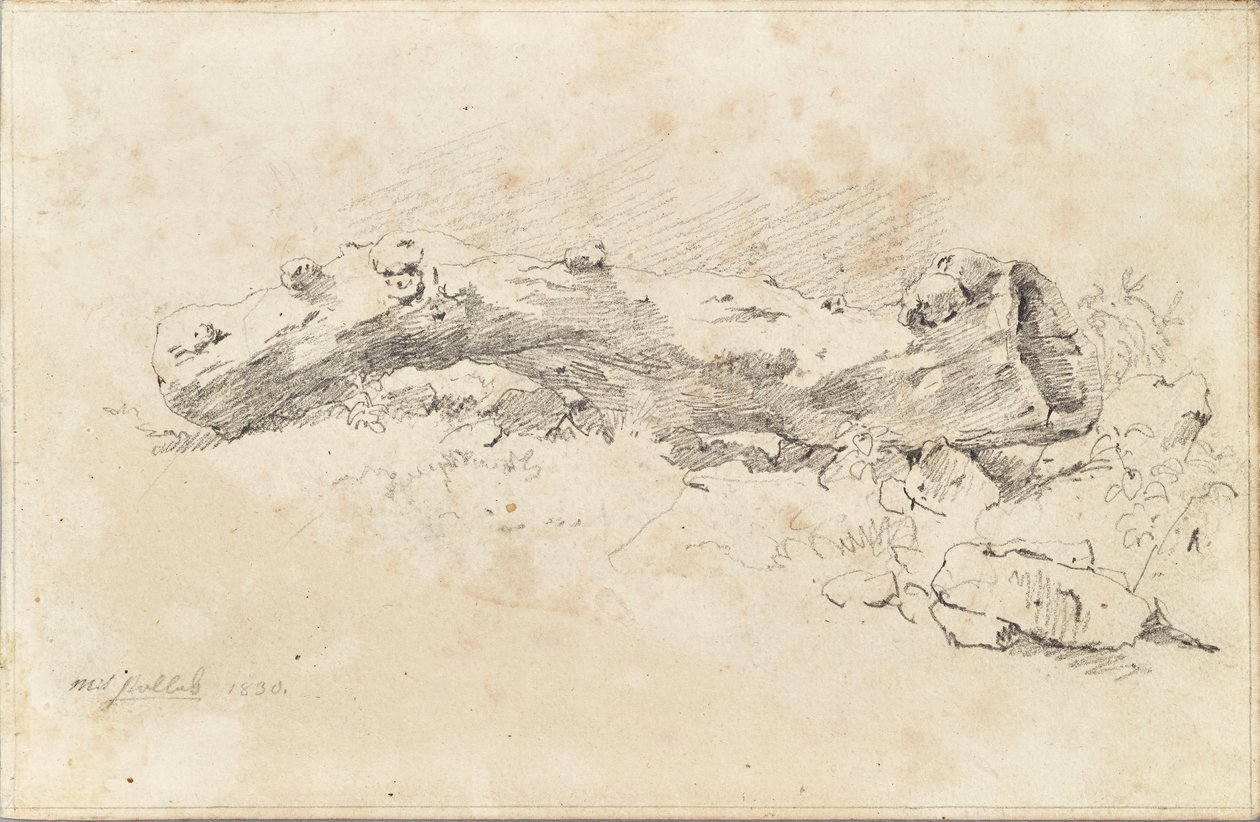 Ležící dutý kmen stromu od Friedrich August Mathias Gauermann