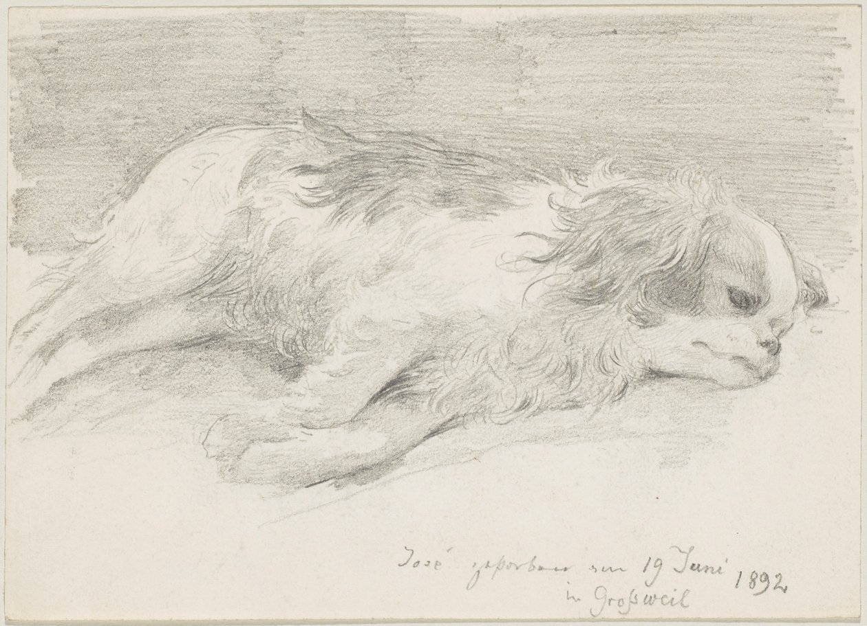 studie psů od Friedrich August von Kaulbach