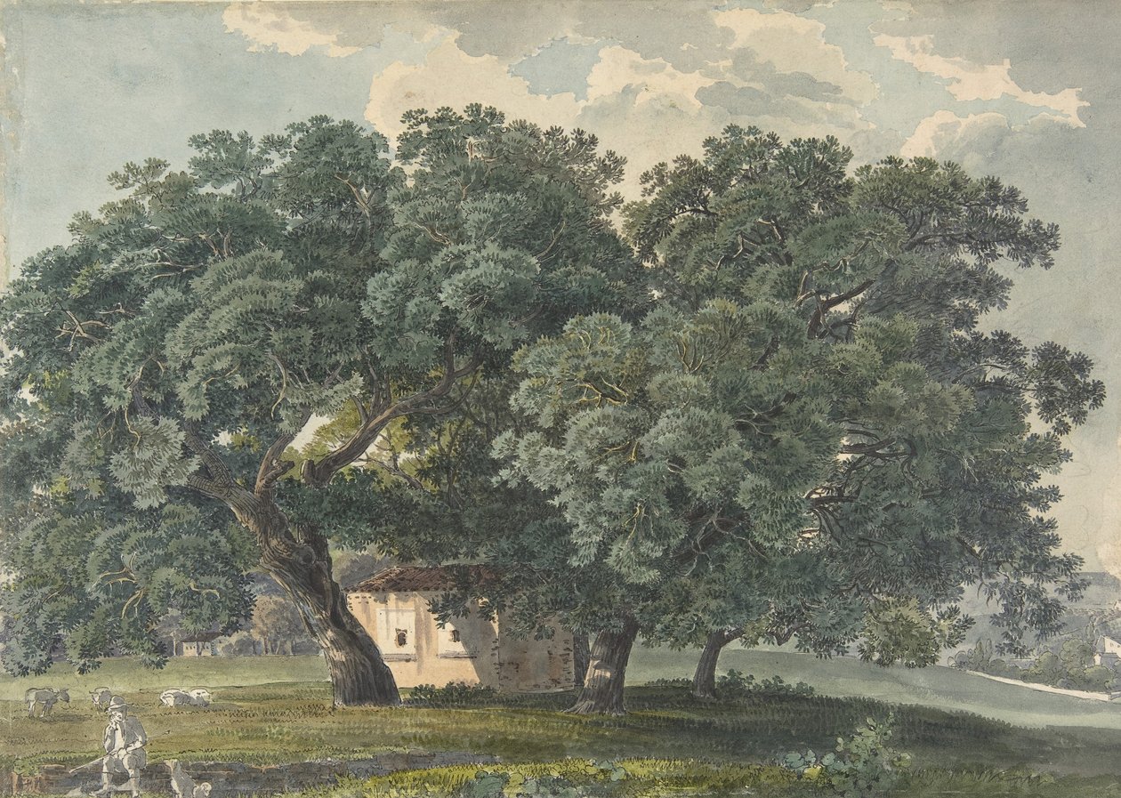 Italská krajina se stromy recto, 1815-21. od Friedrich Salathé