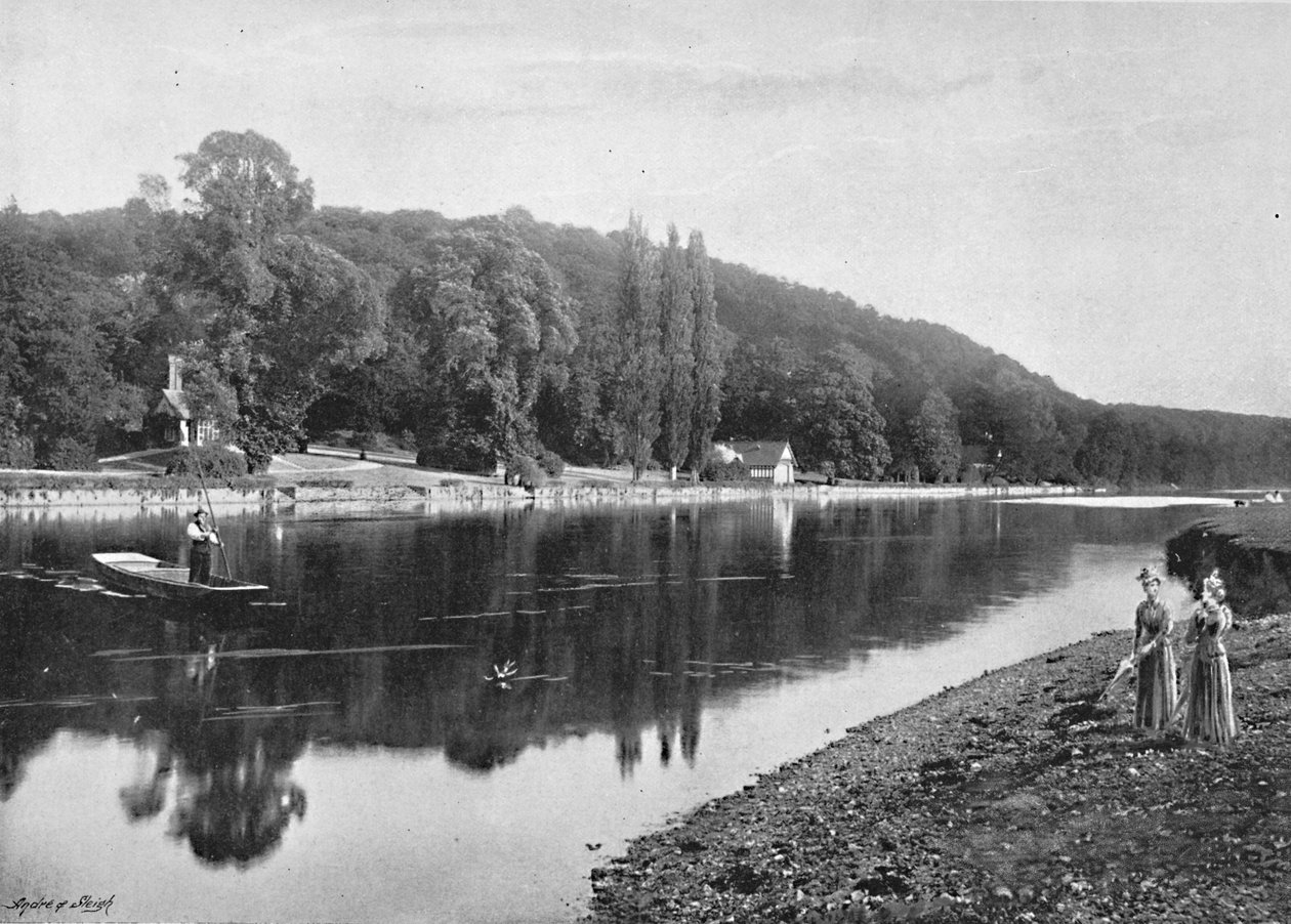Cliefden Woods, c1896 od Frith and Co