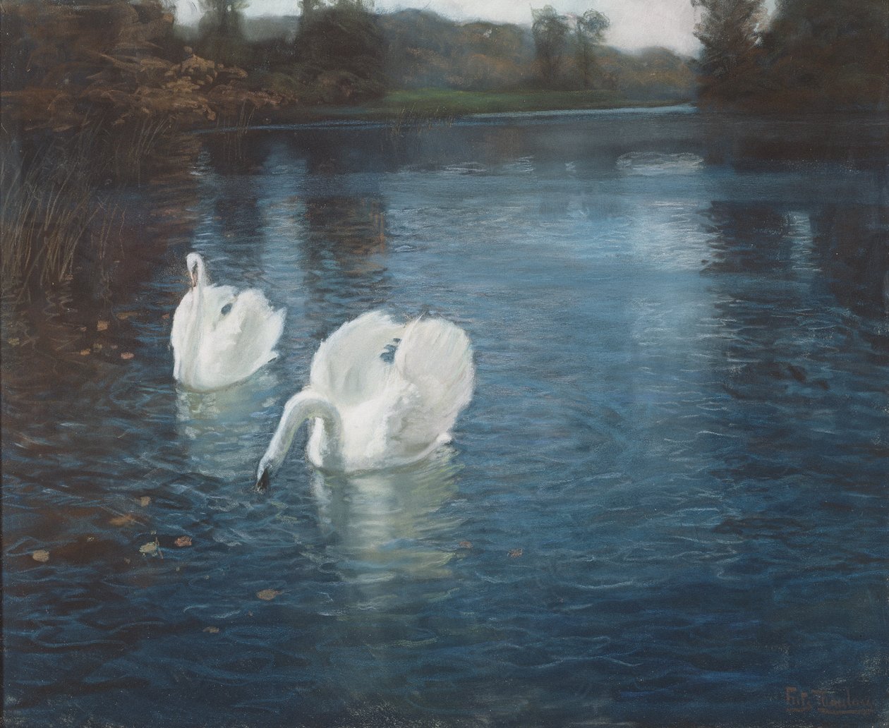 Labutě na řece, cca 1880 (křída na papíře) od Frits Thaulow