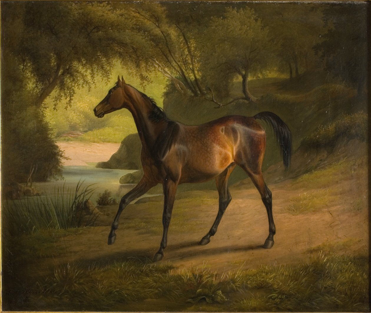 Antonia od Fritz Thomsen