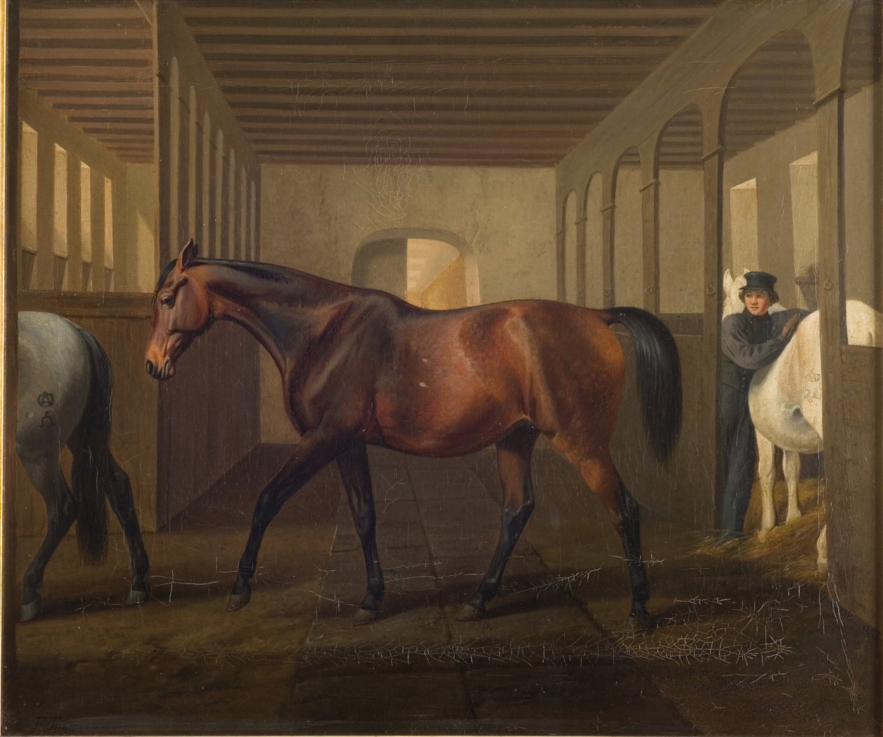 Rosetta od Fritz Thomsen
