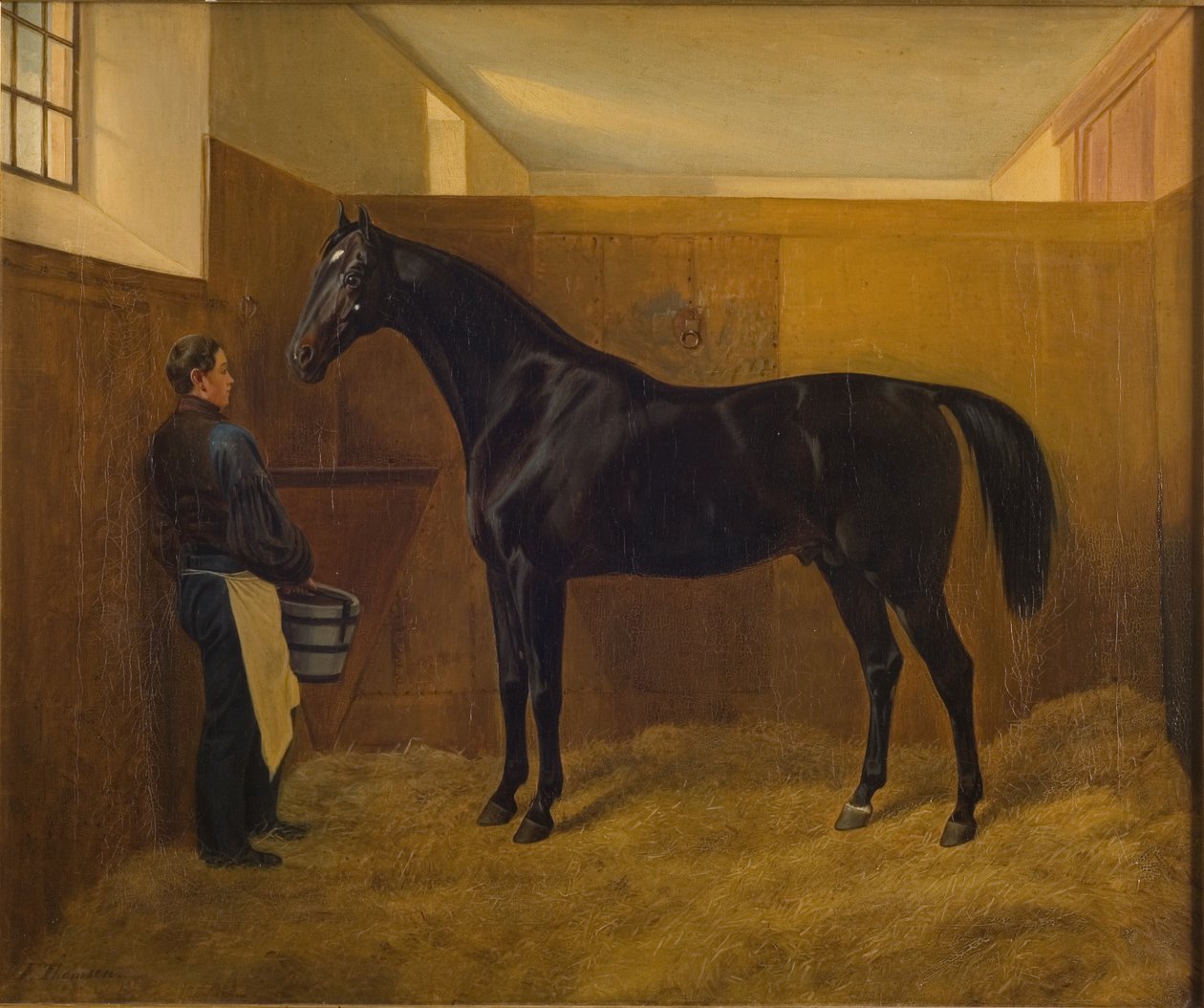 Nohy od Fritz Thomsen