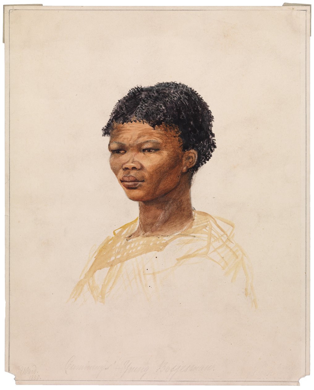Cummingův mladý Bosjesman, 1850 od G. S. Ward
