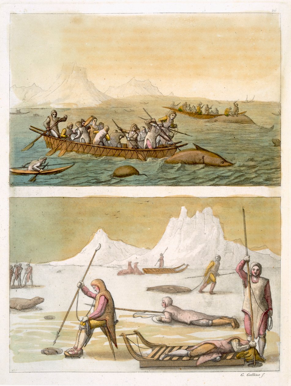 Grónsko: Lov velryb a lov tuleňů, z „Le Costume Ancien et Moderne“, svazek I, deska 26, Jules Ferrario, vydáno kolem 20.–30. let 18. století (barevná rytina) (viz také 116101) od Gallo Gallina
