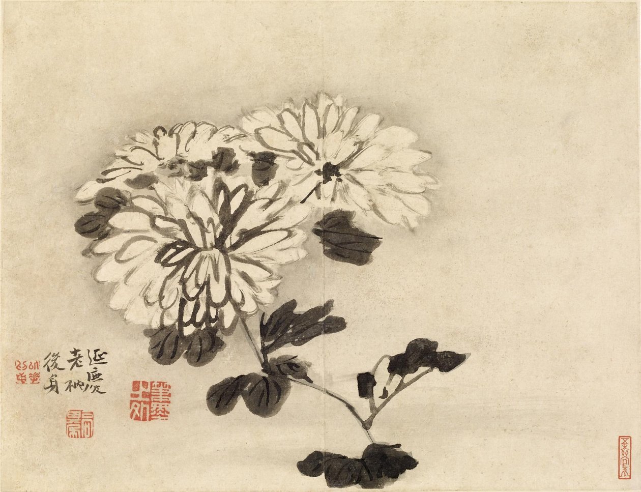 Chryzantémy od Gao Qipei