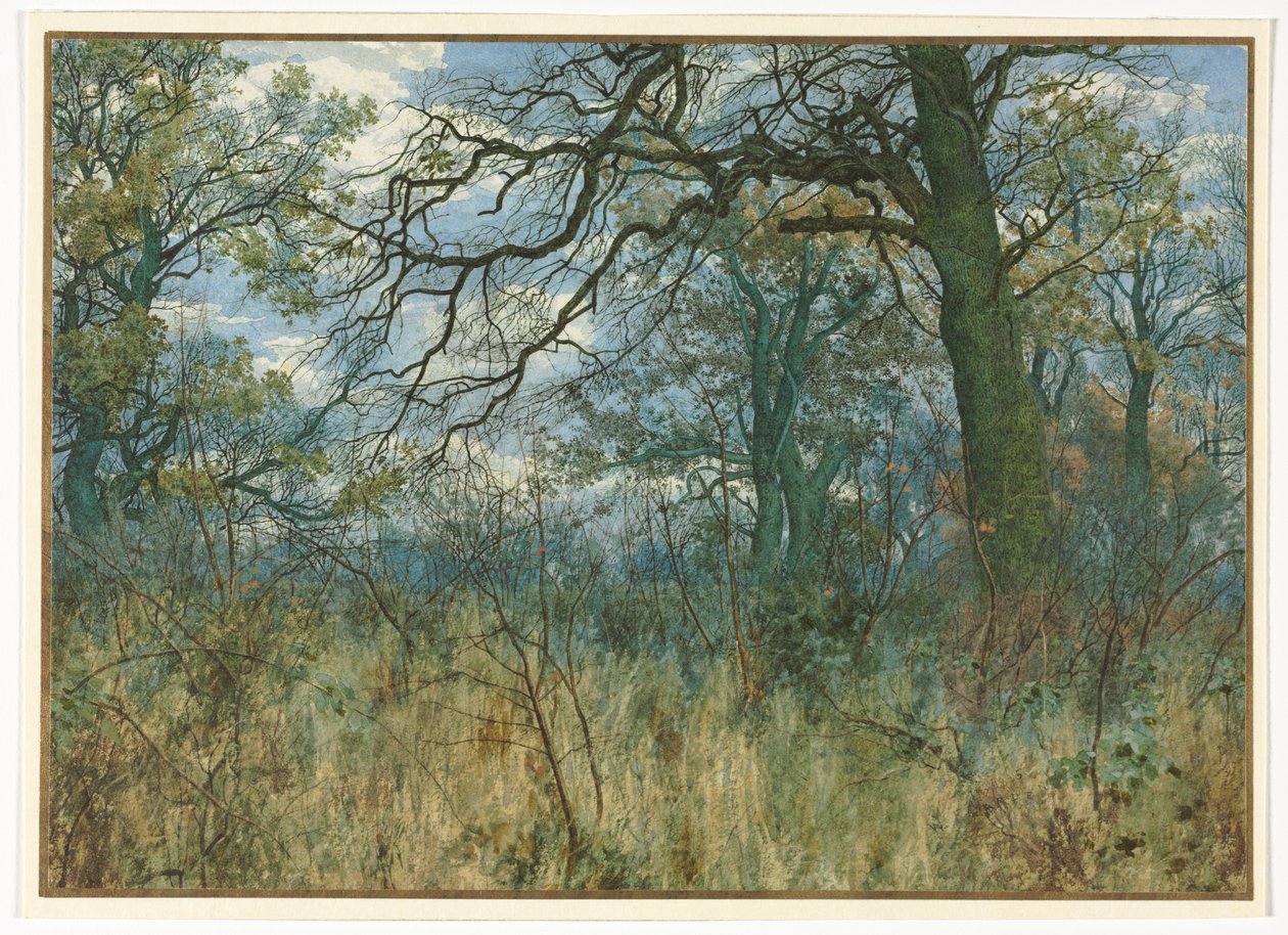 Stromy a podrost od Garden William Fraser