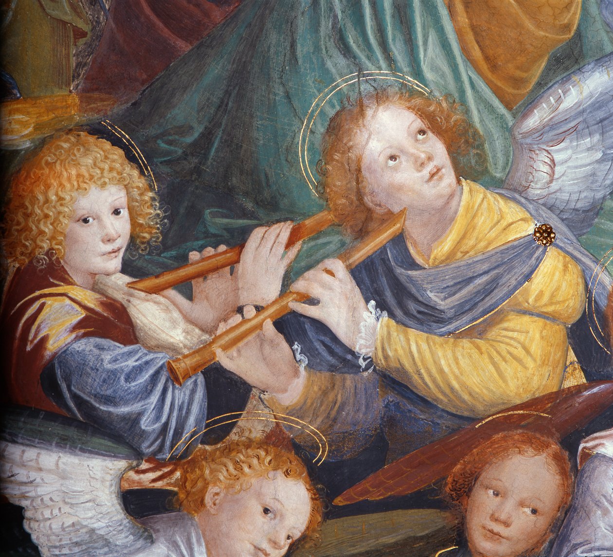 The Concert of Angels, 1534-36 (detail) (viz 175762) od Gaudenzio Ferrari