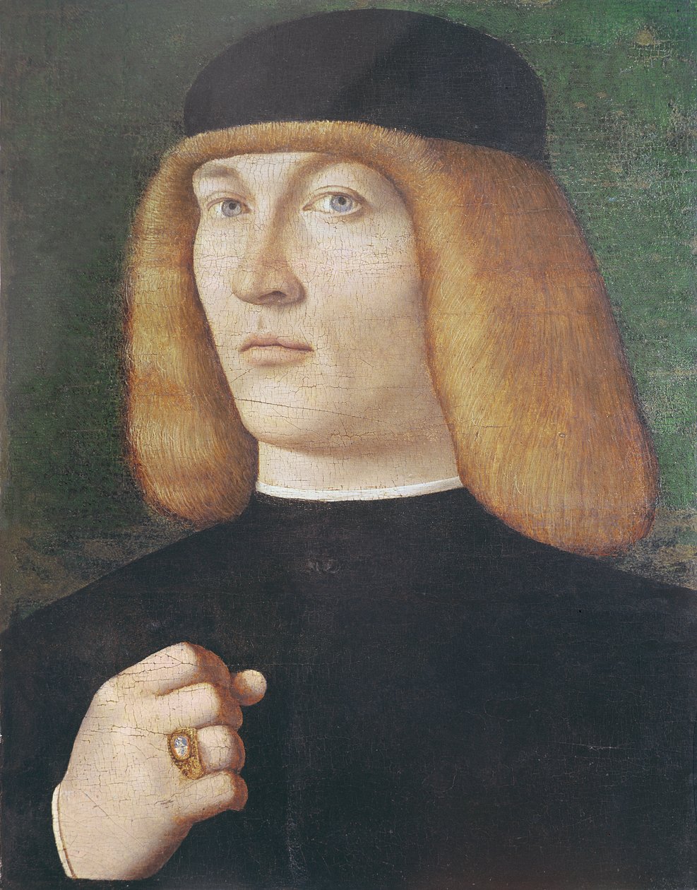 Portrét mladého muže (olej na topolovém dřevě) od Gentile Bellini