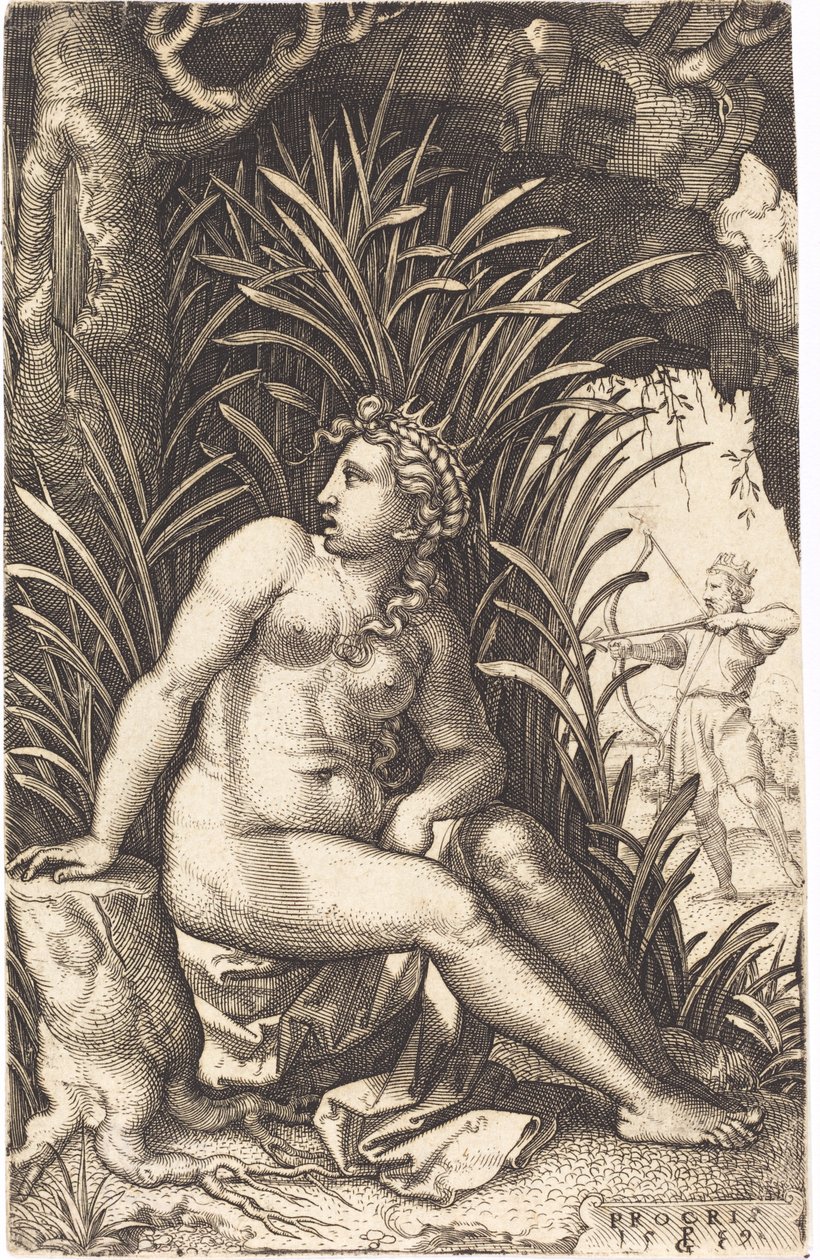 procris od Georg Pencz