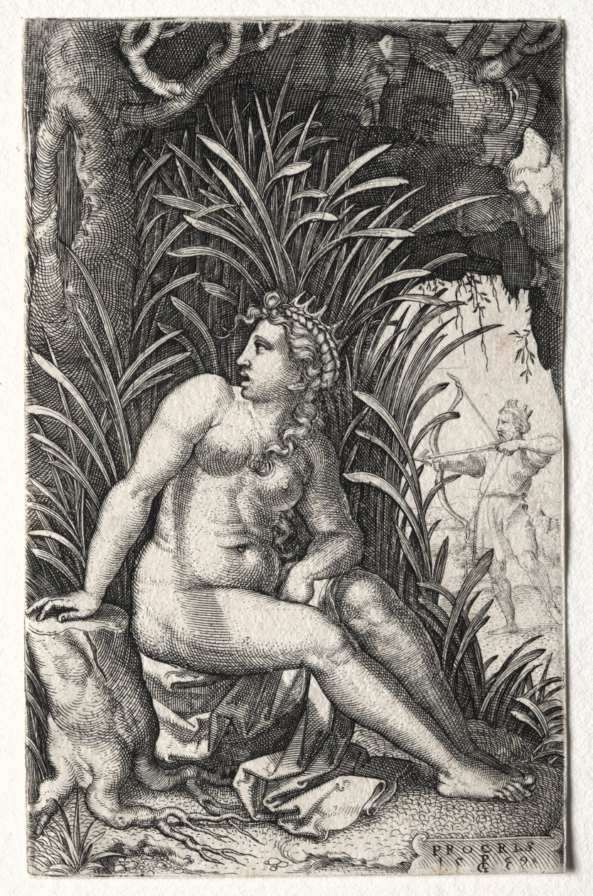 procris od Georg Pencz