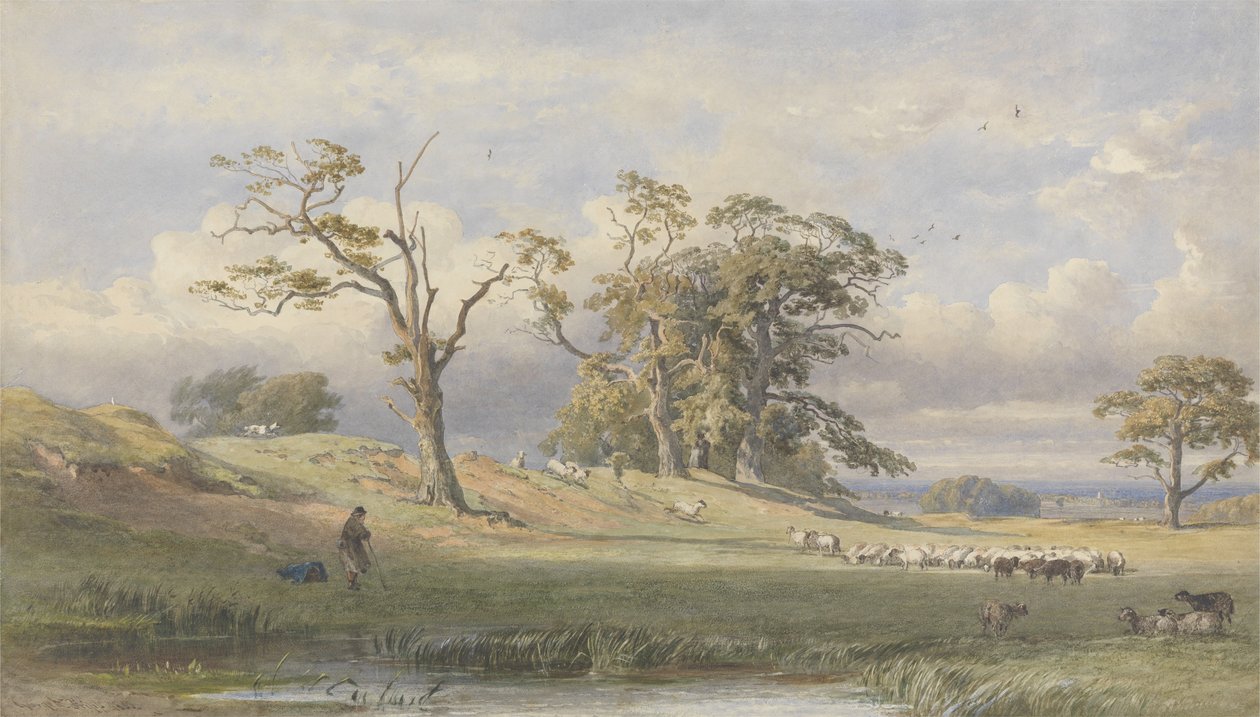 Starý britský tábor v Bulstrode Park, 1860 (wc přes grafit na papíře) od George Arthur Fripp
