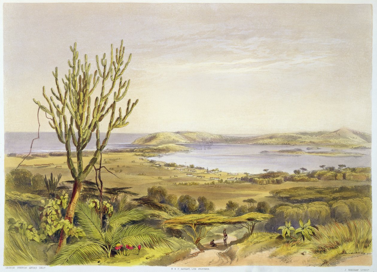 Durban, Port Natal, deska 28 z „The Kafirs Illustrated“, vyryto J. Needhamem, 1849 od George French Angas
