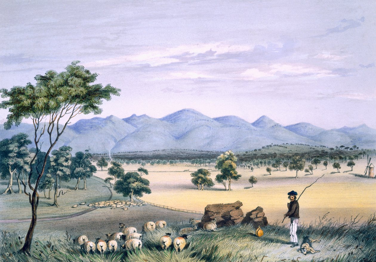 Lynedoch Valley při pohledu na pohoří Barossa, z „South Australia Illustrated“, vydané v roce 1847 (ručně kolorovaná rytina) od George French Angas