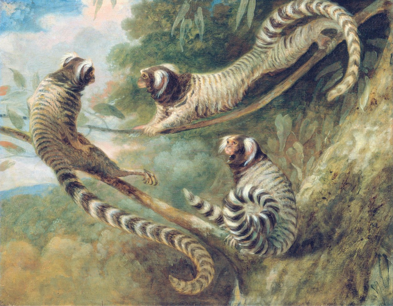 Kosman ve třech postojích od George Garrard