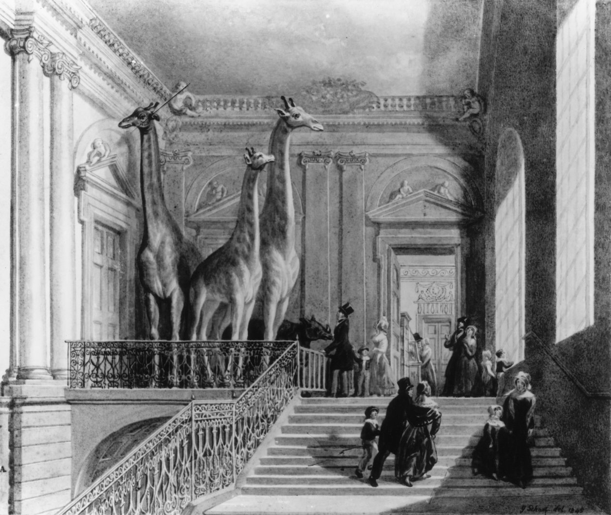 Žirafy na schodišti v Britském muzeu, 1845 (pero a inkoust a wc na papíře) od George Snr Scharf