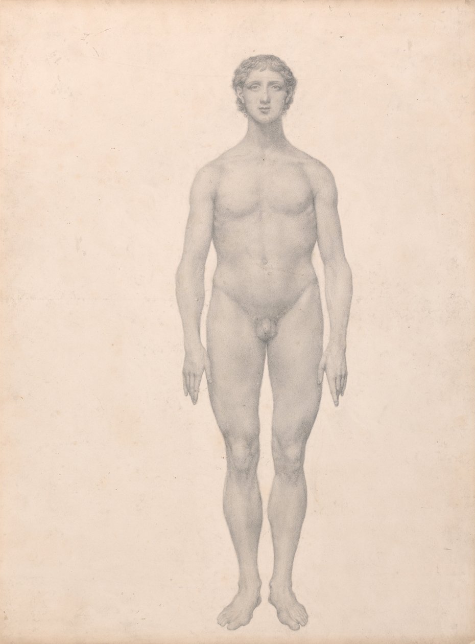 Srovnávací anatomická expozice struktury lidského těla s tygrem a ko ... od George Stubbs