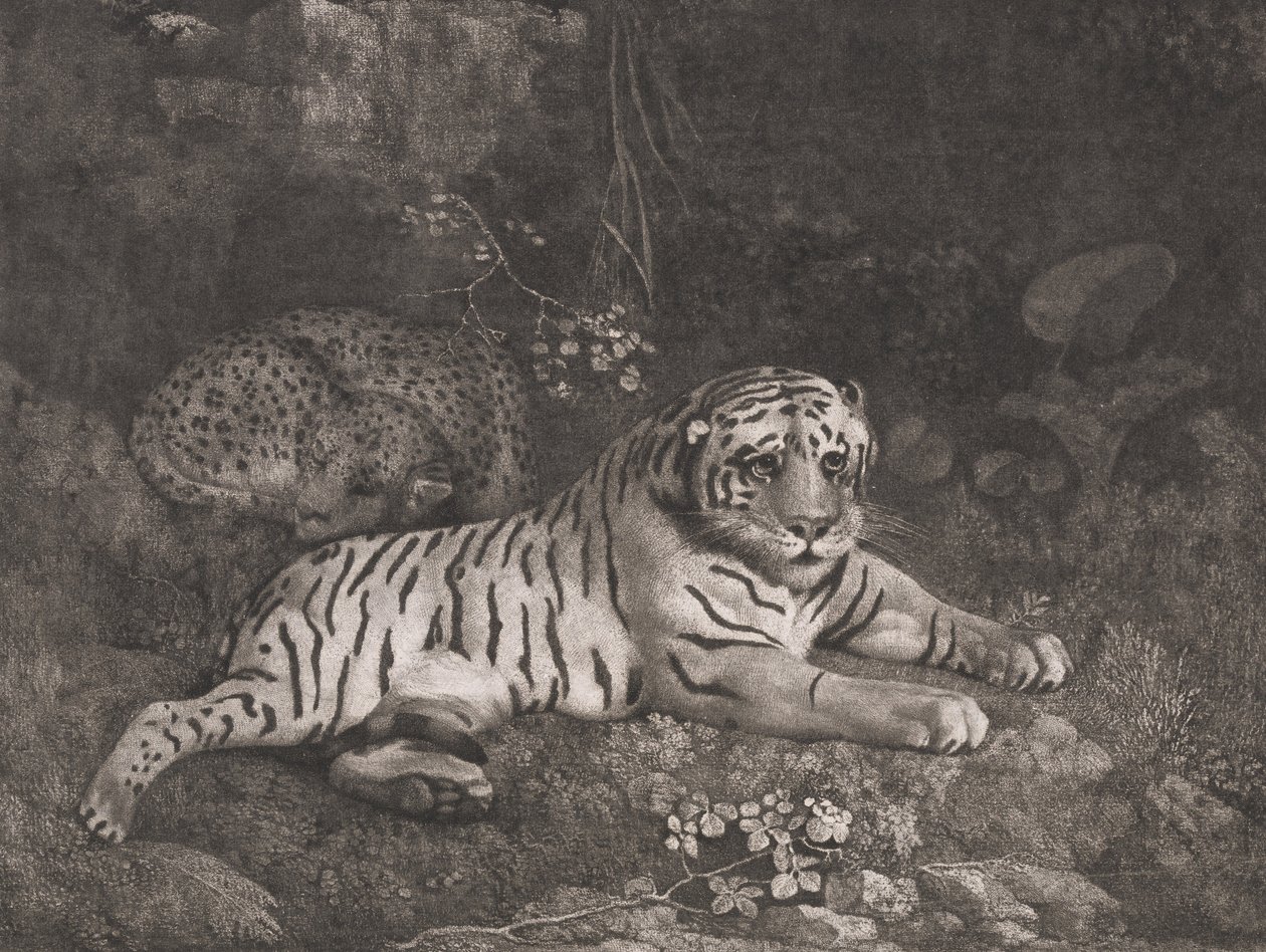 Tygr a spící leopard od George Stubbs