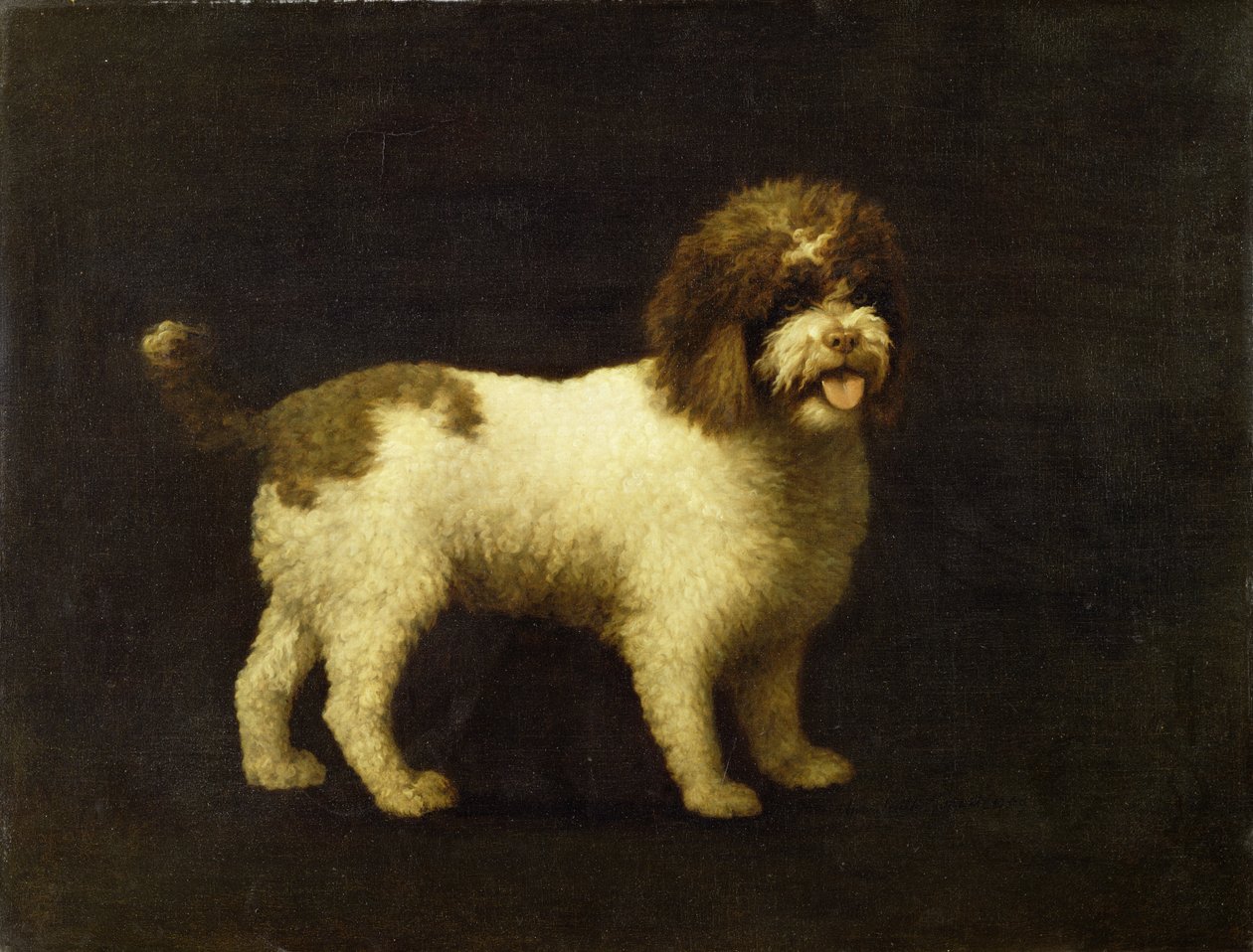 Vodní španěl, 1769 od George Stubbs