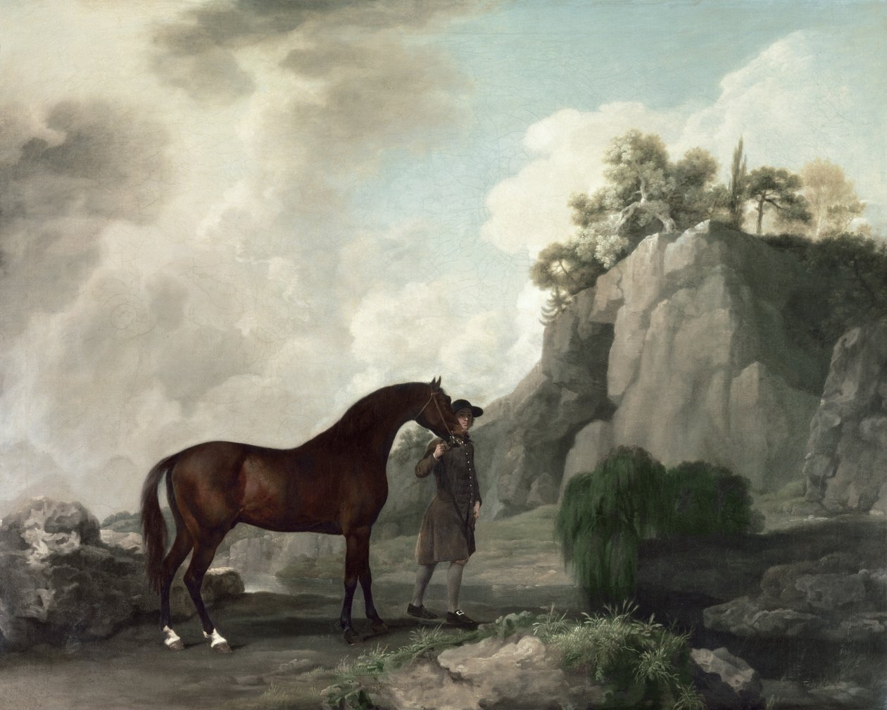 "Cato" a ženich od George Stubbs