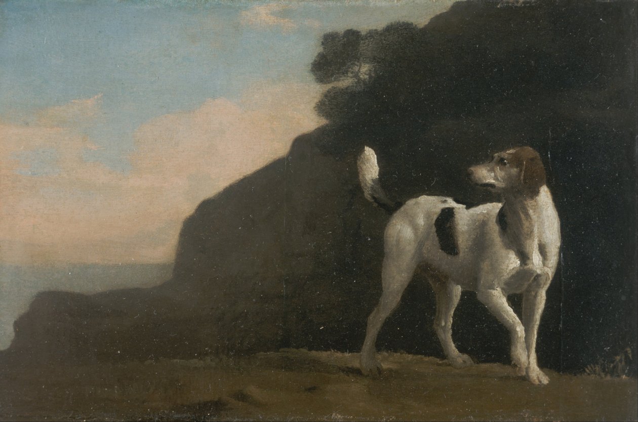 Foxhound od George Stubbs