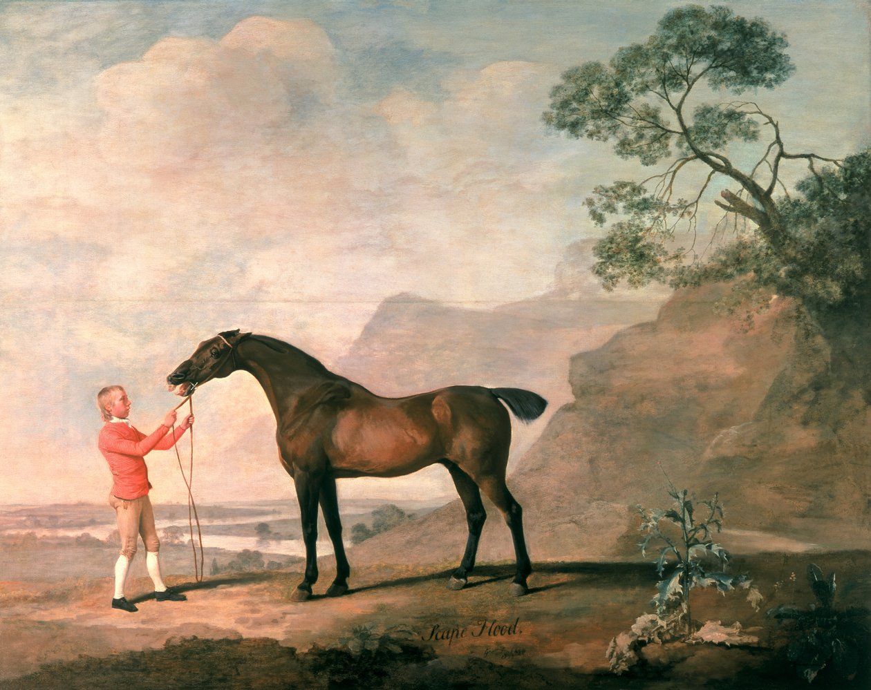 Scapeflood od George Stubbs