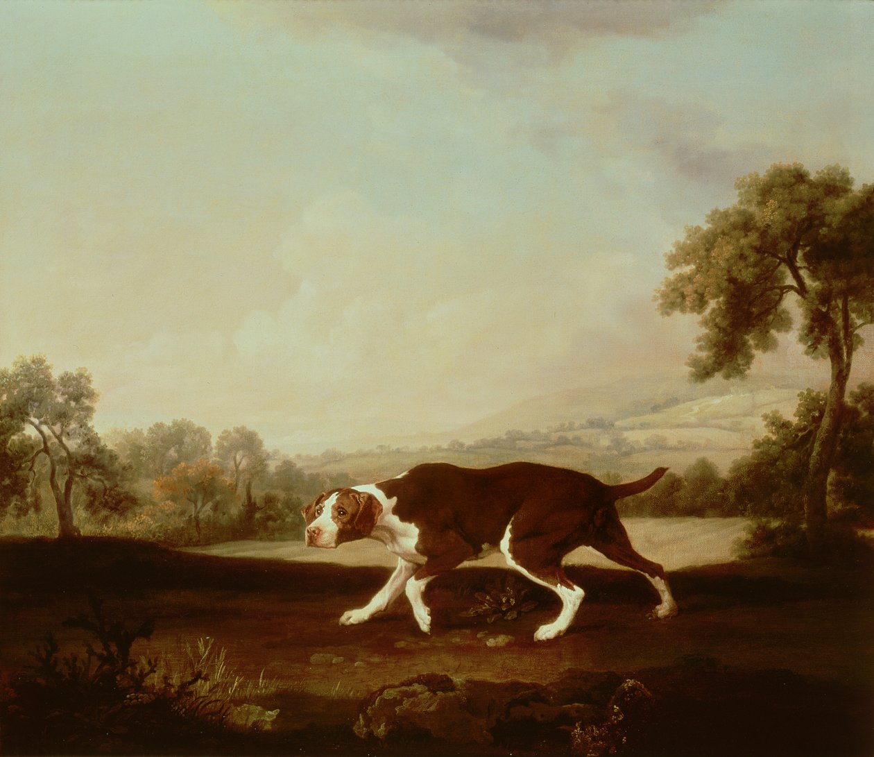 Španělský ohař od George Stubbs