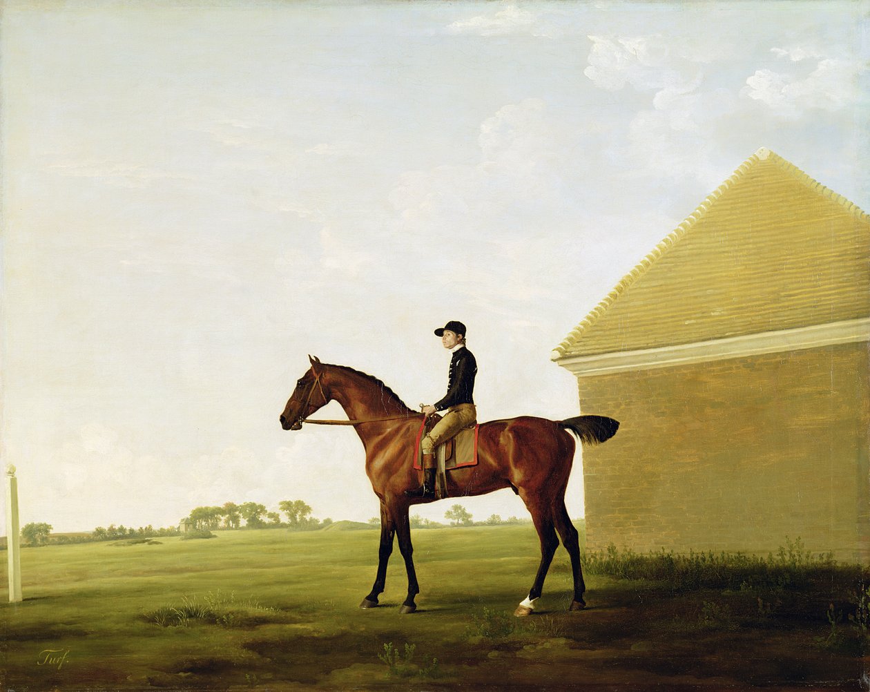Turf, kolem 1765 (viz 152743) od George Stubbs