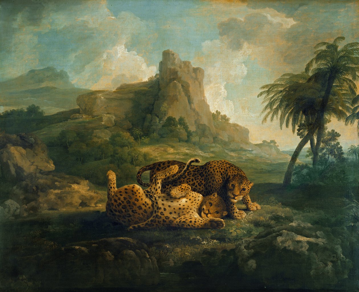 Tygers at Play, kolem 1763-8 od George Stubbs