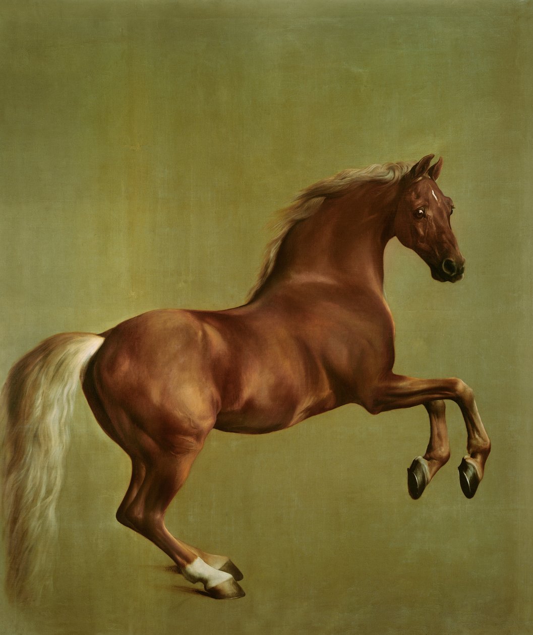 Whistlejacket, 1762 od George Stubbs