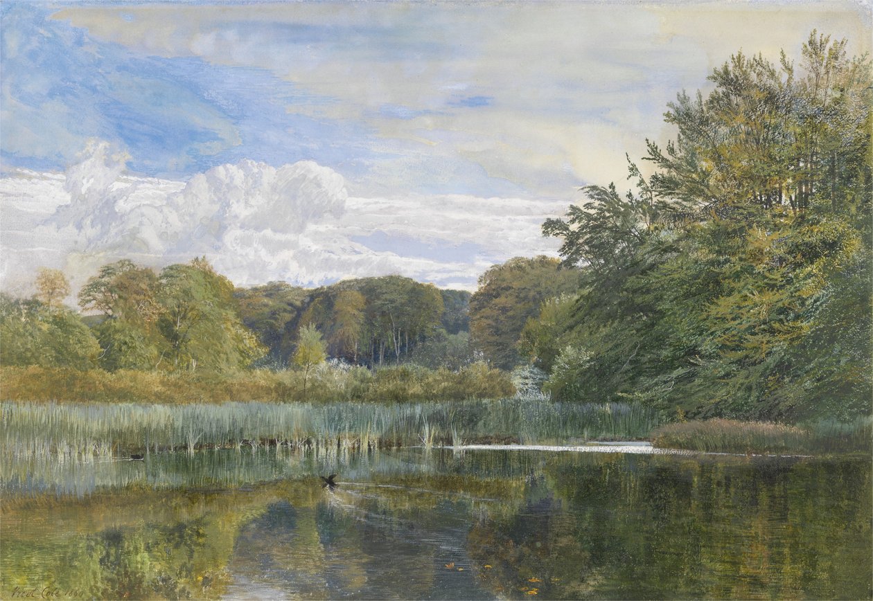 The Mill Pond, Evelyn Woods, 1860 od George Vicat Cole