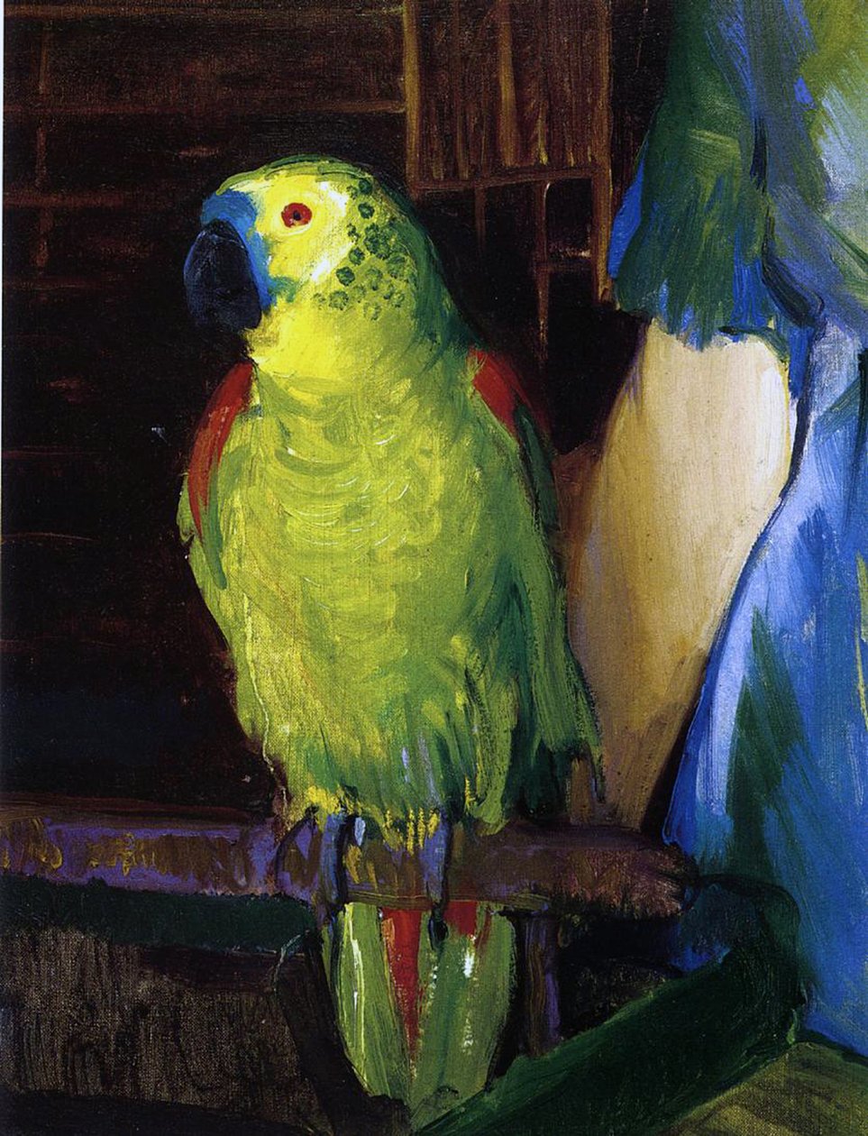 Papoušek, 1915 od George Wesley Bellows