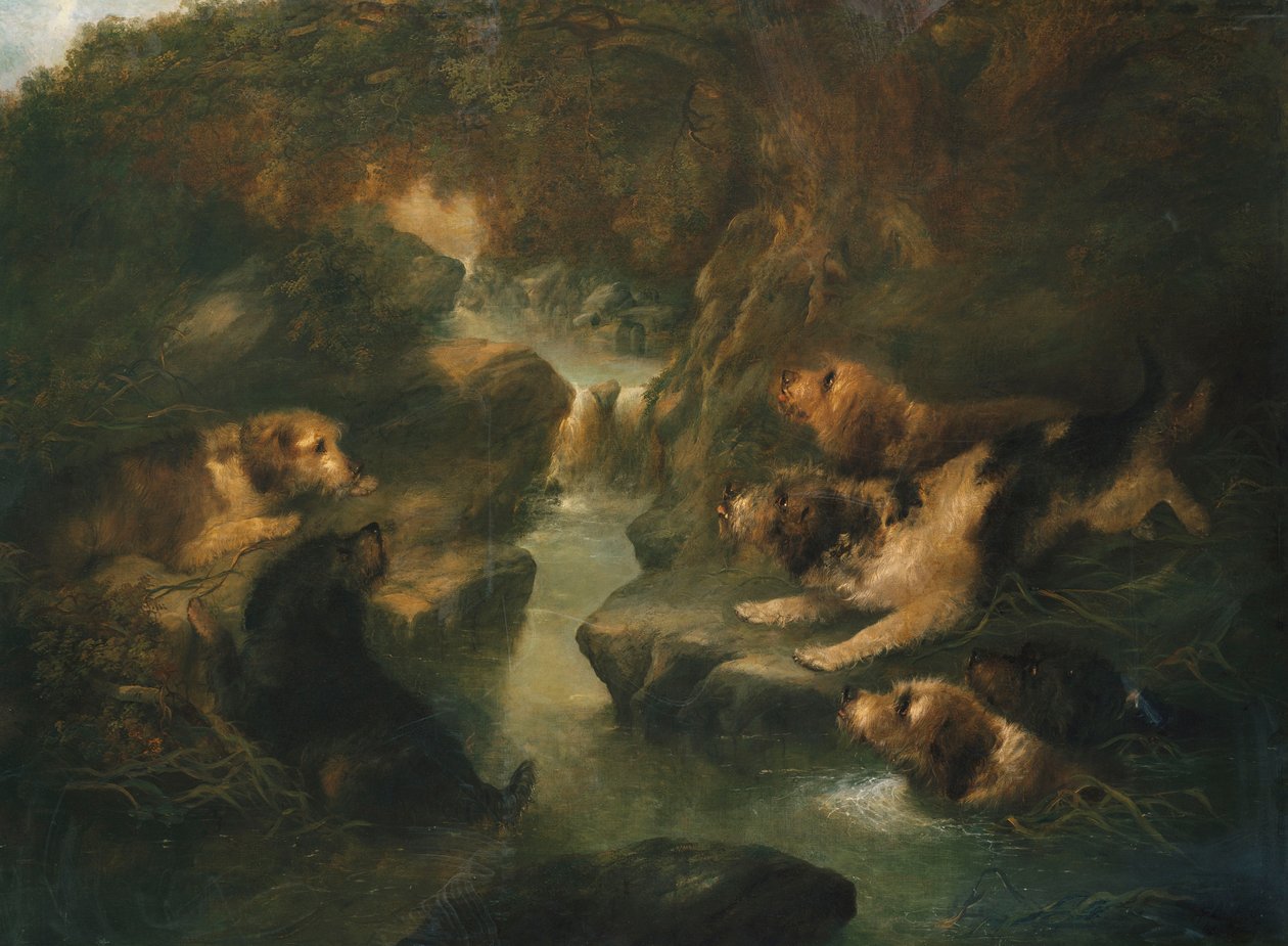 Lov vyder, 1867 od George Armfield