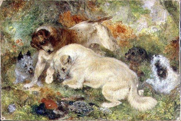 Teriéři a králíci v lese od George Armfield